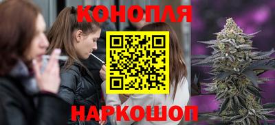 крисы Ливны