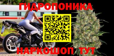 мяу мяу мука Ликино-Дулёво